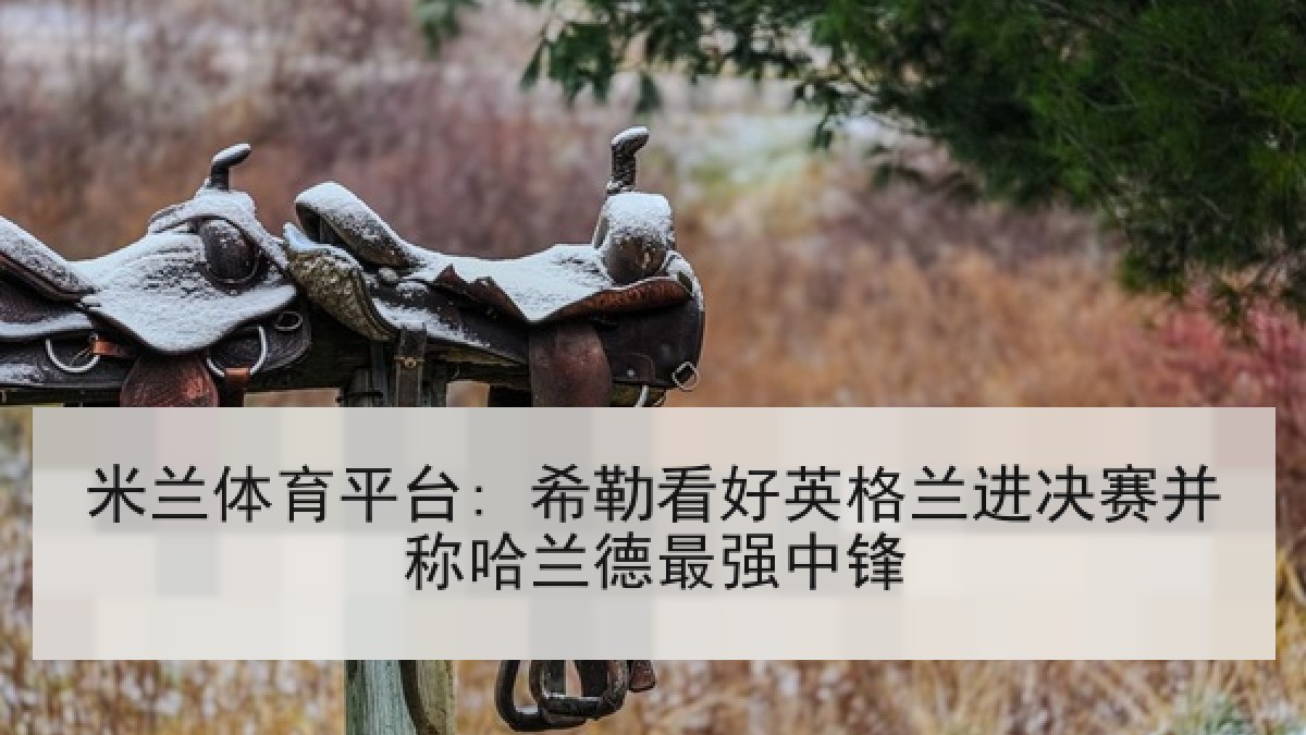 米兰体育平台: 希勒看好英格兰进决赛并称哈兰德最强中锋