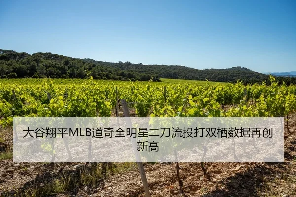 大谷翔平MLB道奇全明星二刀流投打双栖数据再创新高