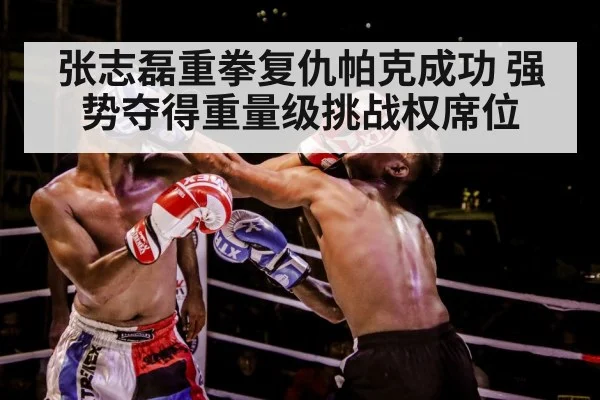 张志磊重拳复仇帕克成功 强势夺得重量级挑战权席位
