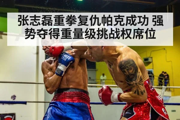 boxer knockout punch